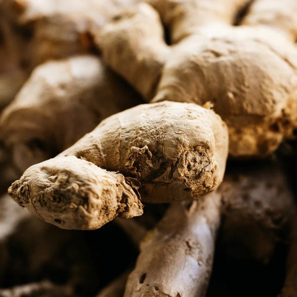 St Eval Fragrance | Ginger & Lemongrass - Smallhill Furniture Co.