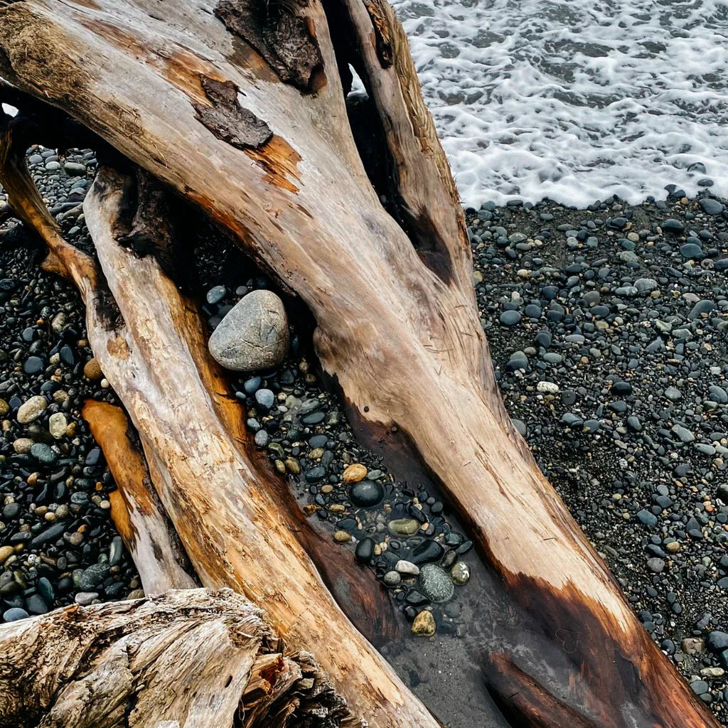 St Eval Fragrance | Sea Moss & Driftwood - Smallhill Furniture Co.