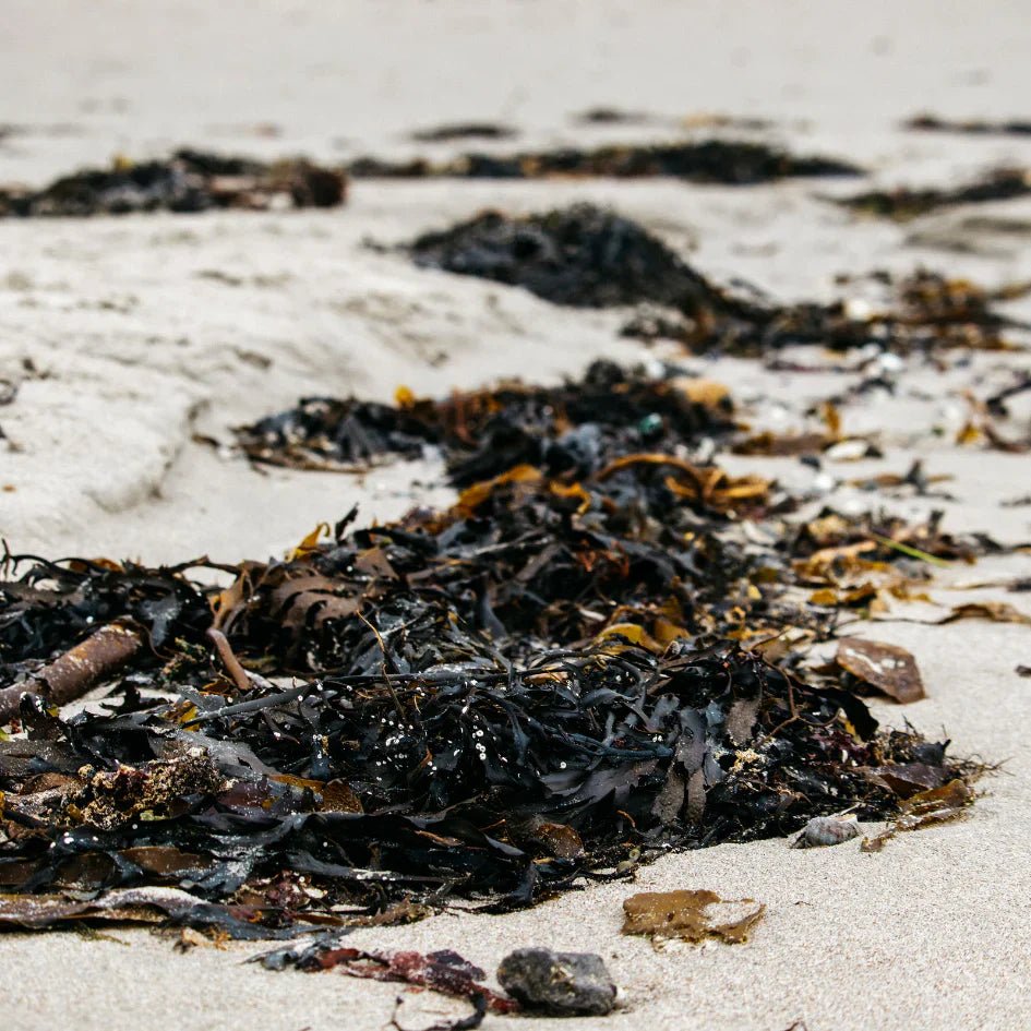 St Eval Fragrance | Sea Salt - Smallhill Furniture Co.
