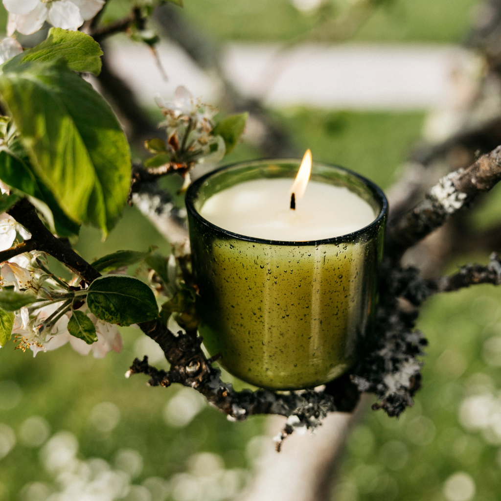 Walled Garden Sea Garden Pot Glass Candle