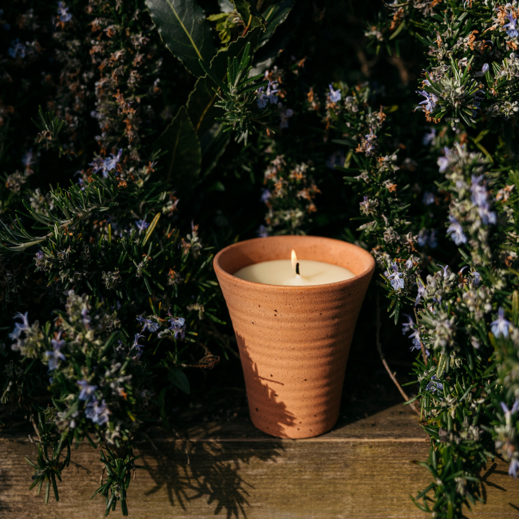 Bay & Rosemary Potager Pot