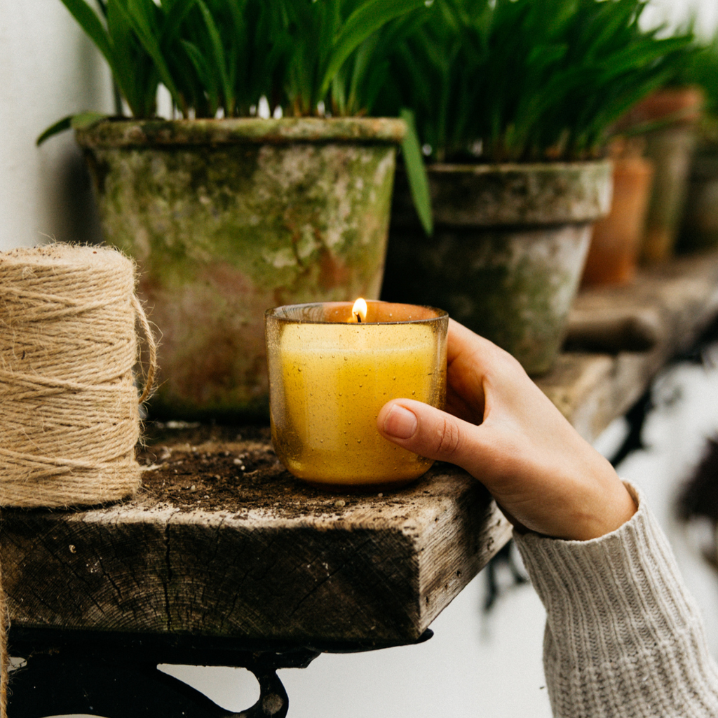 Ginger & Lemongrass Sea Garden Glass Candle