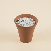 Bay & Rosemary Potager Pot