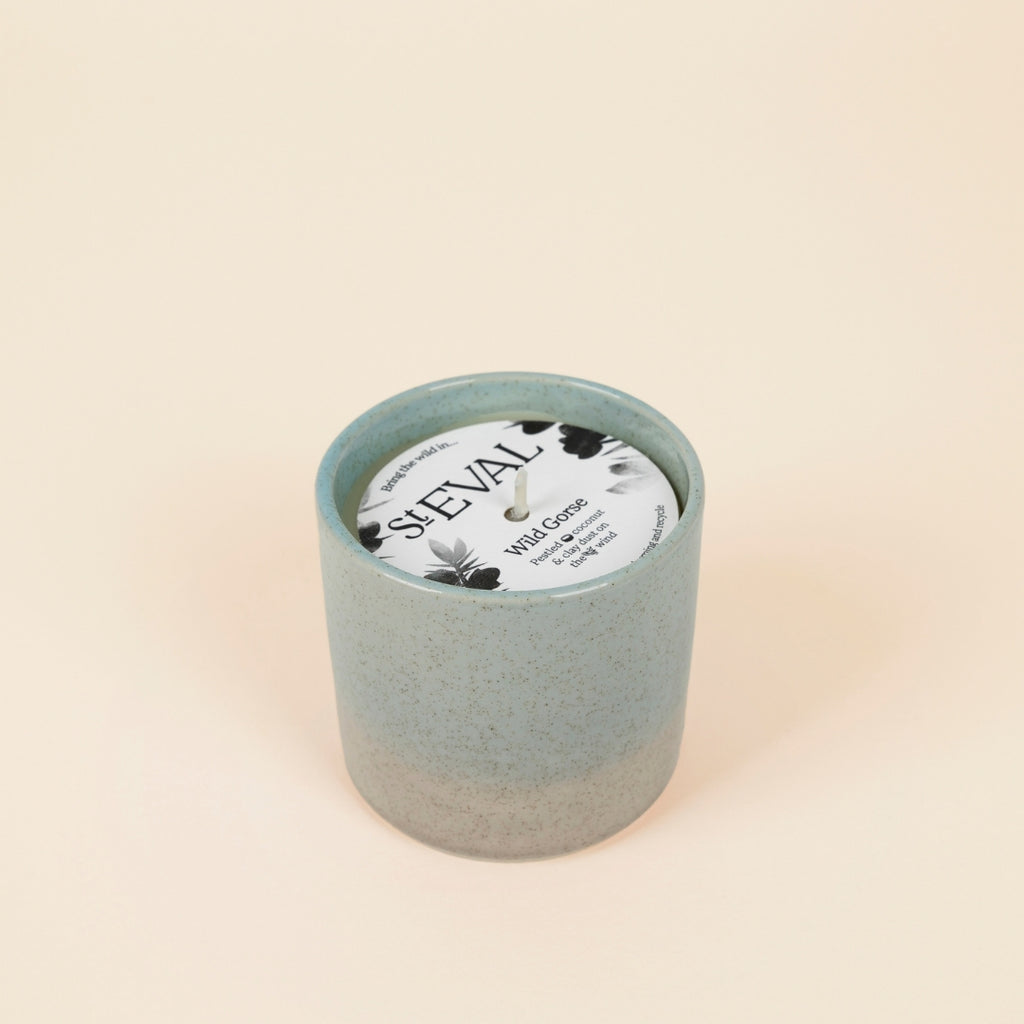 Wild Gorse Sea & Shore Pot