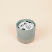 Wild Gorse Sea & Shore Pot