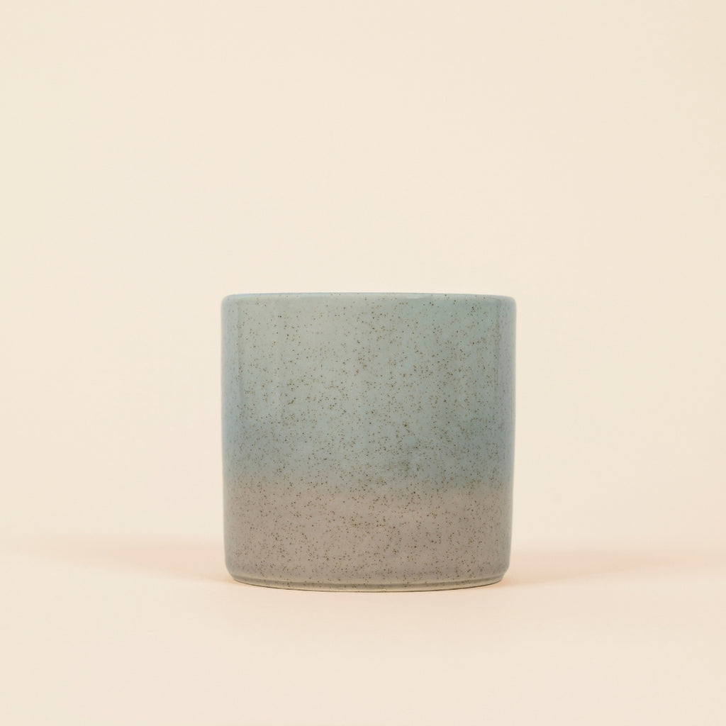 Wild Gorse Sea & Shore Pot
