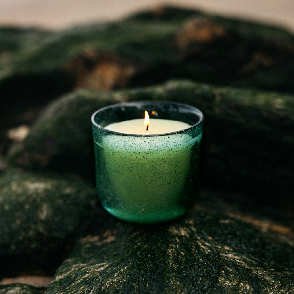Sea Moss & Driftwood Sea Garden Glass Candle