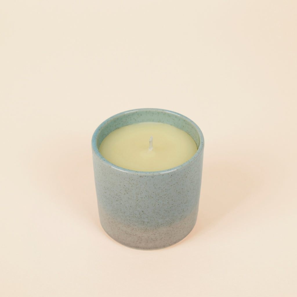 Wild Gorse Sea & Shore Pot