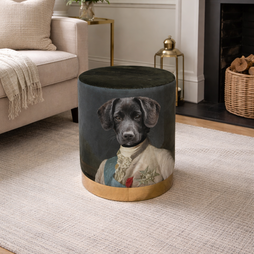 Green Velvet Pommel - Labrador Dog in Vintage Clothing