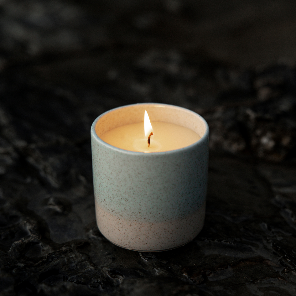 Wild Gorse Sea & Shore Pot