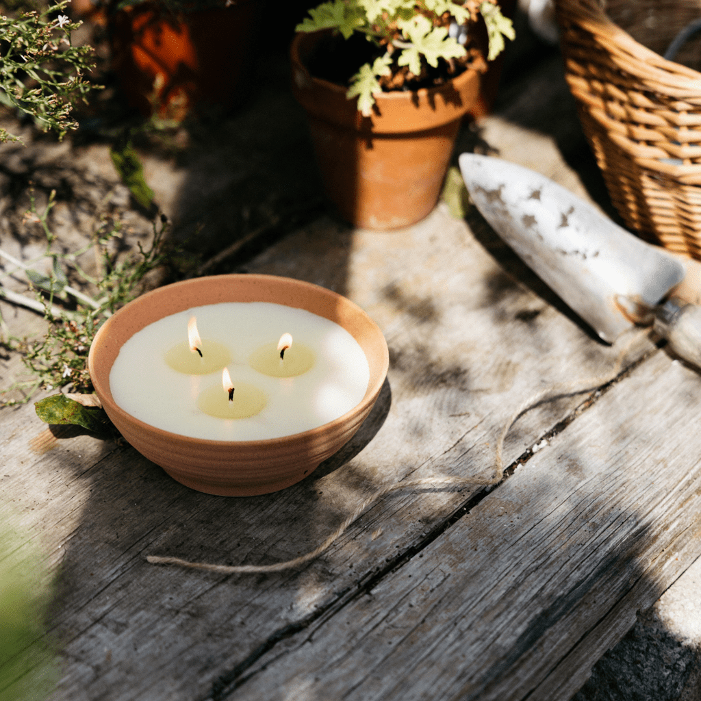 Bay & Rosemary Potager, Multiwick Bowl - Smallhill Furniture Co.