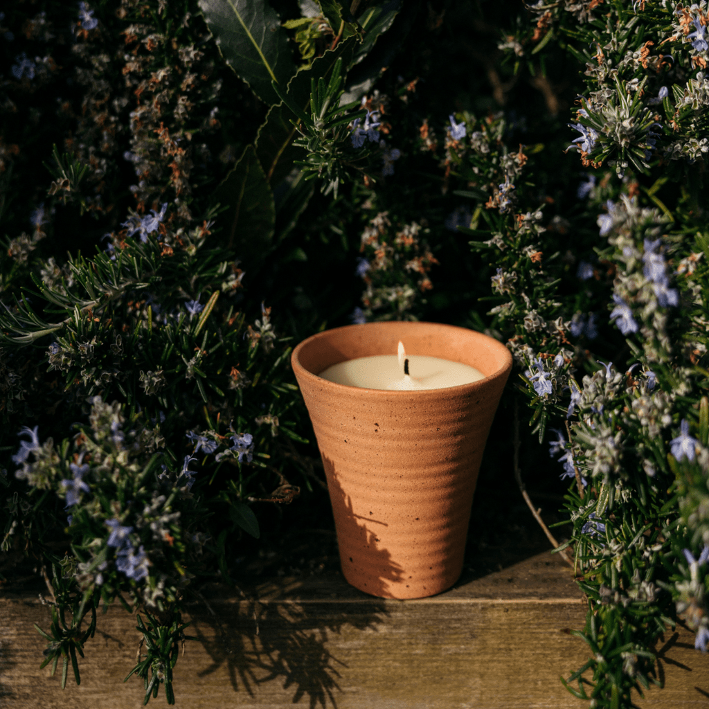 Bay & Rosemary Potager Pot - Smallhill Furniture Co.