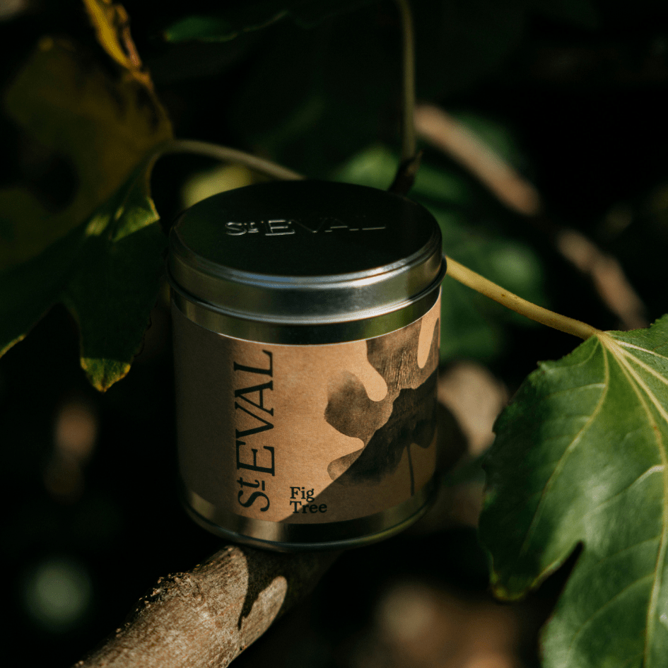Fig Tree Scented Tin Candle - Smallhill Furniture Co.