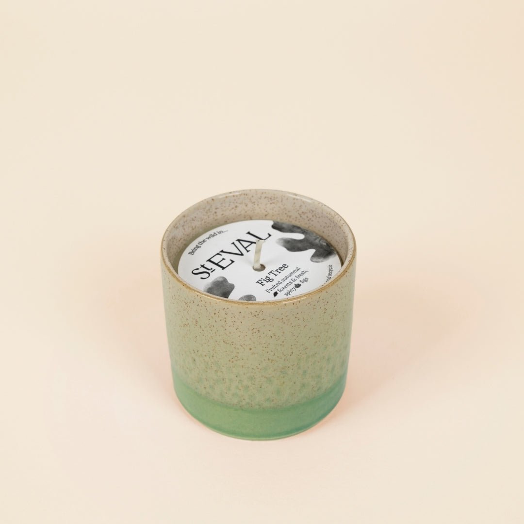 Fig Tree Sea & Shore Pot - Smallhill Furniture Co.