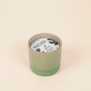 Fig Tree Sea & Shore Pot - Smallhill Furniture Co.