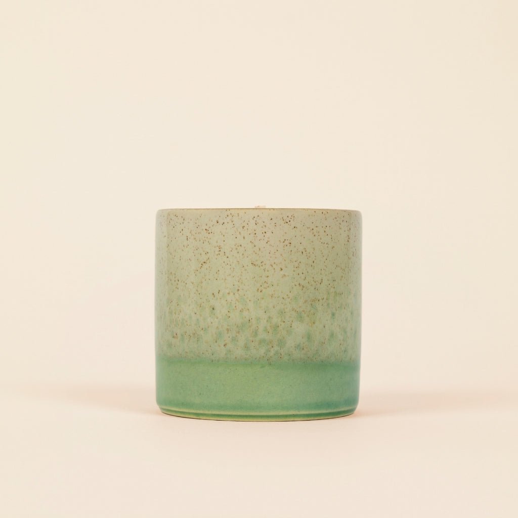 Fig Tree Sea & Shore Pot - Smallhill Furniture Co.
