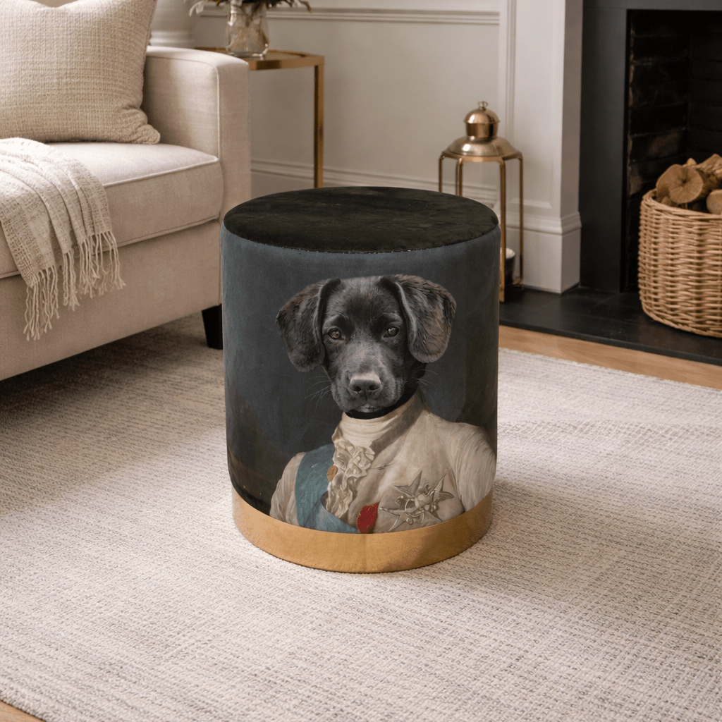 Green Velvet Pommel - Labrador Dog in Vintage Clothing - Smallhill Furniture Co.