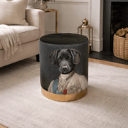 Green Velvet Pommel - Labrador Dog in Vintage Clothing - Smallhill Furniture Co.