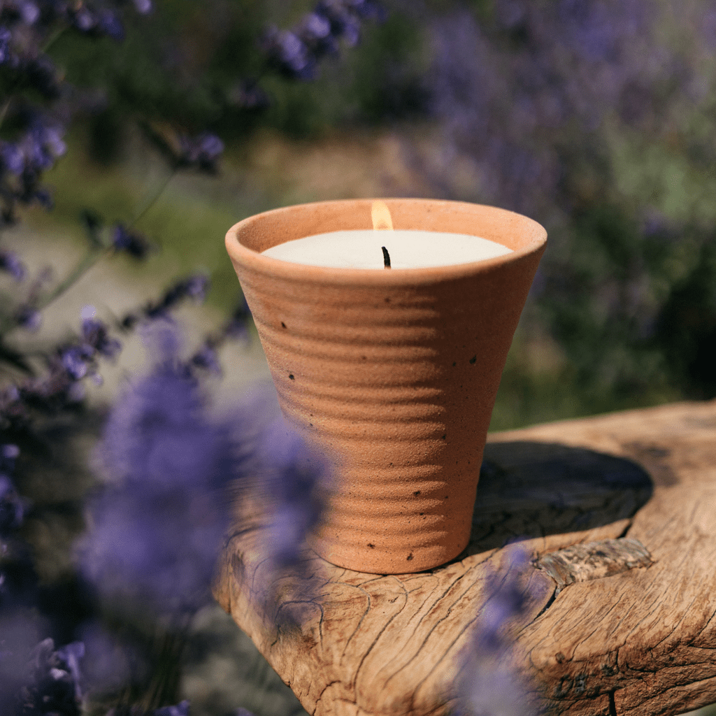 Lavender Fields Potager Pot - Smallhill Furniture Co.
