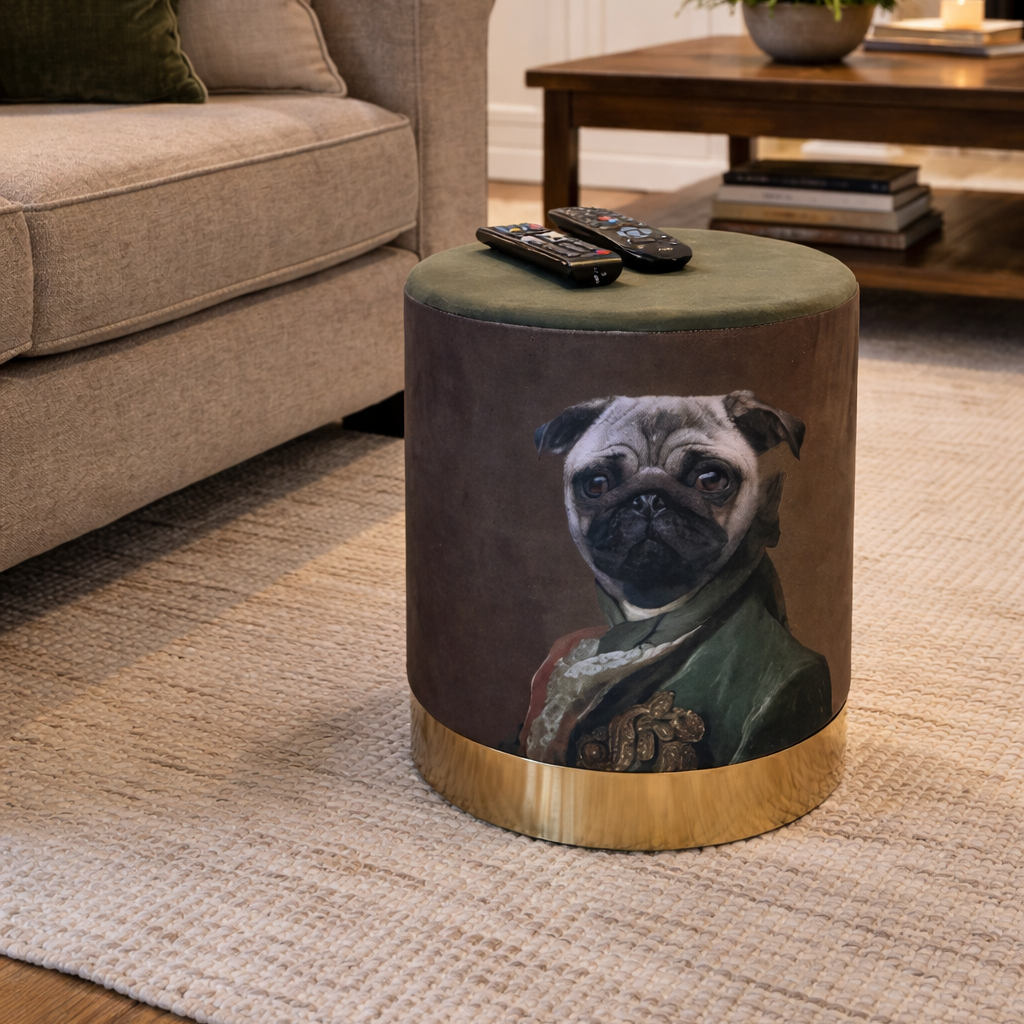 Green Velvet Pommel - Pug Dog wearing Vintage Clothes