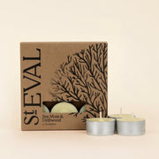 Sea Moss & Driftwood Scented Tealights - Smallhill Furniture Co.