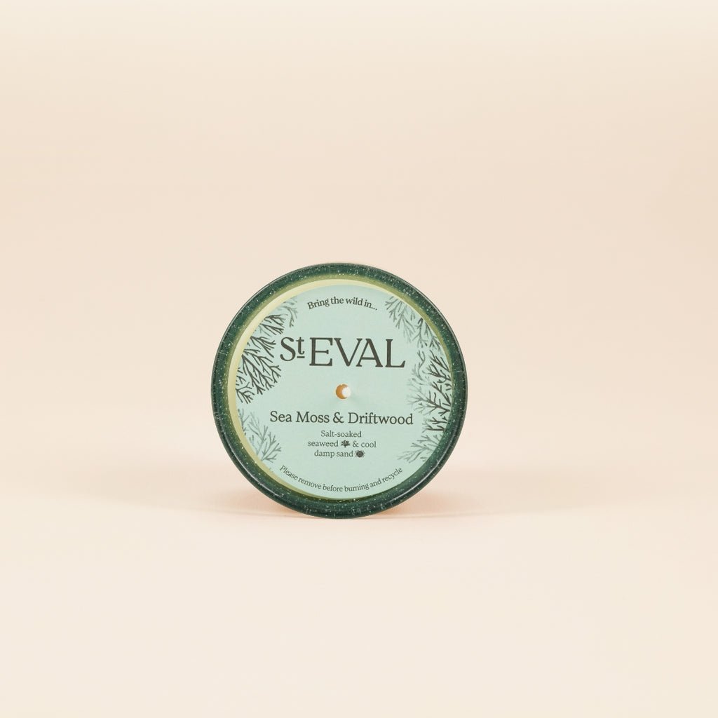 Sea Moss & Driftwood Sea Garden Glass Candle - Smallhill Furniture Co.