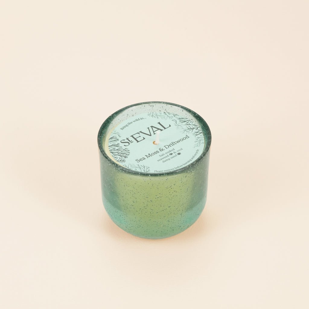 Sea Moss & Driftwood Sea Garden Glass Candle - Smallhill Furniture Co.