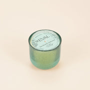 Sea Moss & Driftwood Sea Garden Glass Candle - Smallhill Furniture Co.
