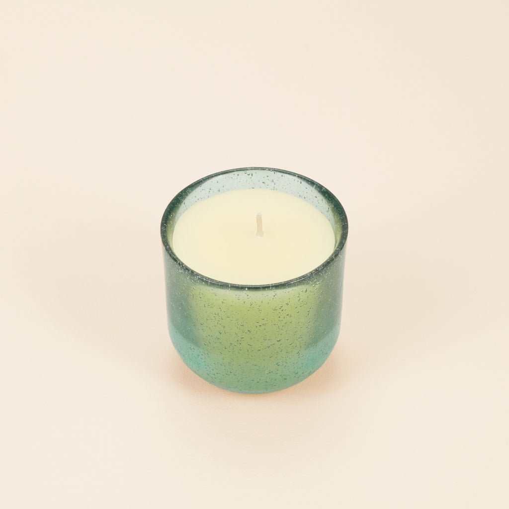 Sea Moss & Driftwood Sea Garden Glass Candle - Smallhill Furniture Co.