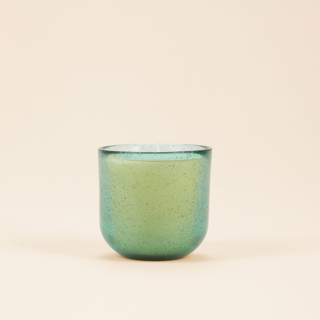Sea Moss & Driftwood Sea Garden Glass Candle - Smallhill Furniture Co.
