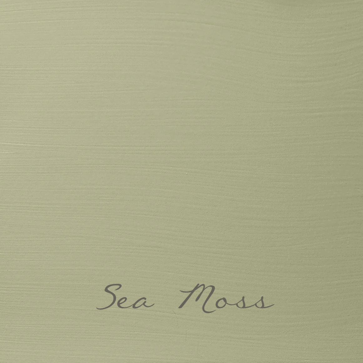 Sea Moss | Autentico Velvet 2.5L