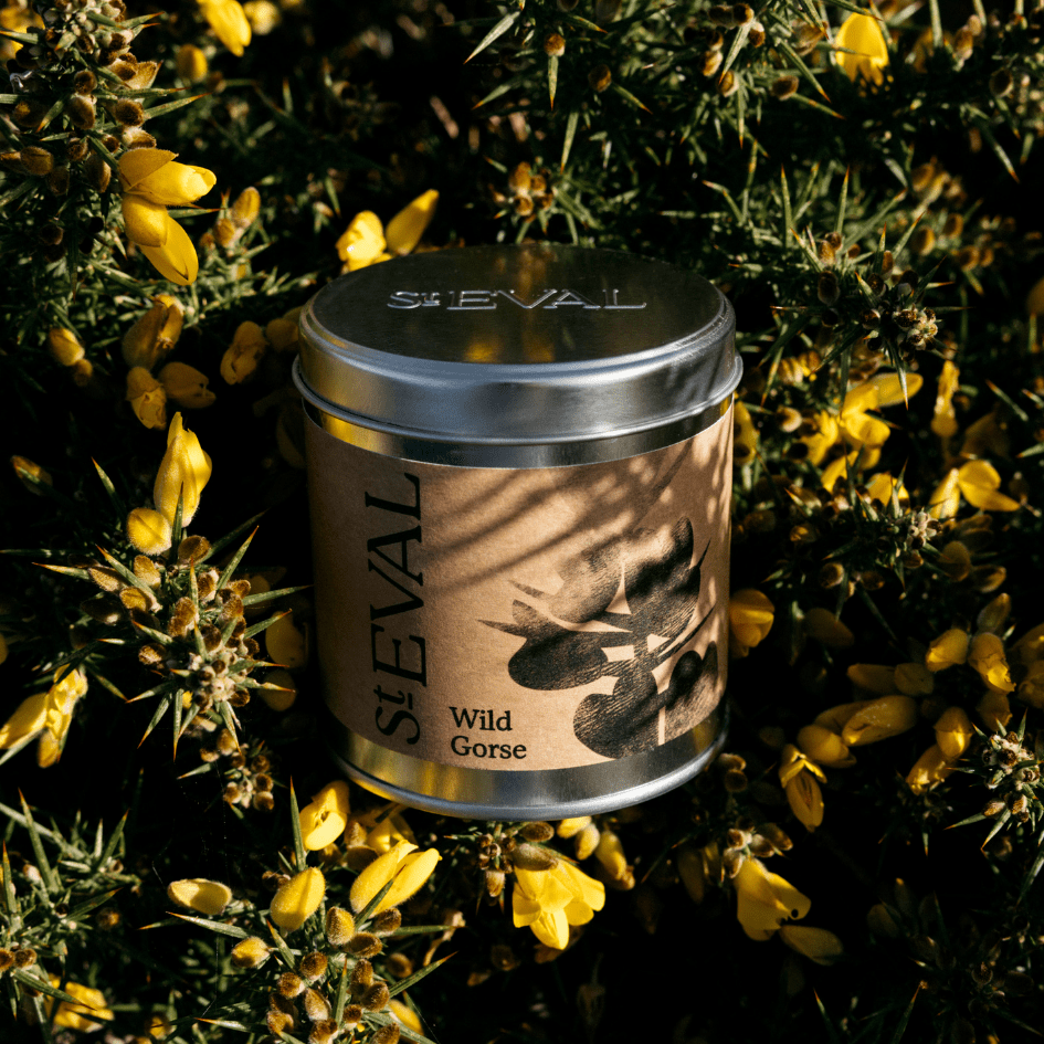 Wild Gorse Scented Tin Candle - Smallhill Furniture Co.